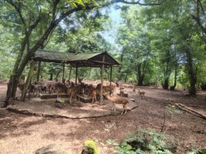 WhatsApp Image 2025-09-28 at 9.39.15 AM (1)