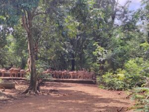 WhatsApp Image 2025-09-28 at 9.39.15 AM